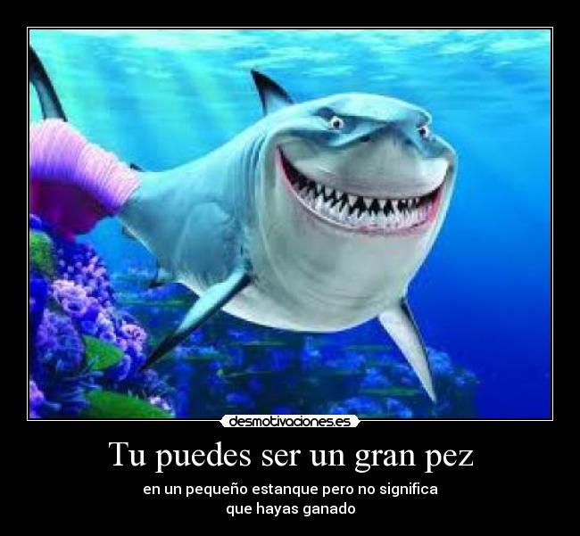 carteles lolnolose que hace flojera desmotivaciones