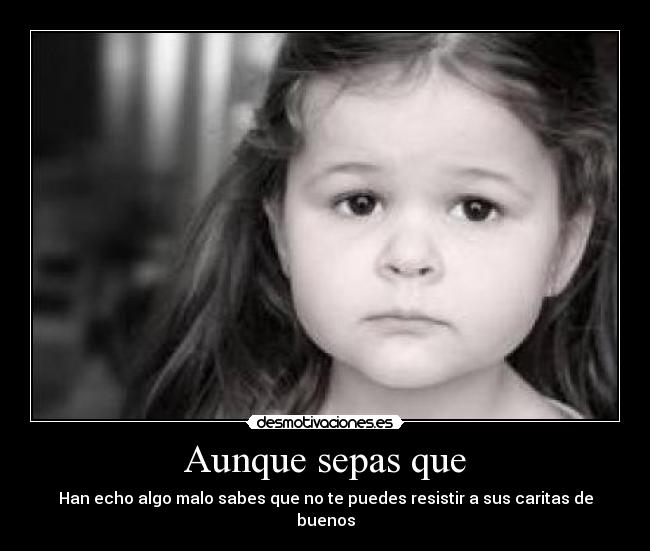 Aunque sepas que - Han echo algo malo sabes que no te puedes resistir a sus caritas de buenos