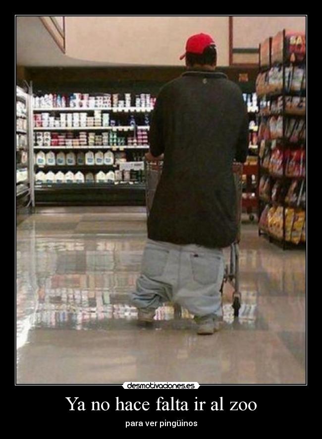 Ya no hace falta ir al zoo -
