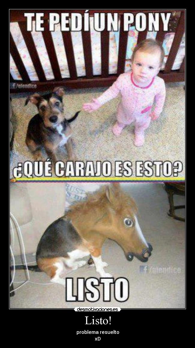carteles humor pony bebe listo comico todo problema resuelto desmotivaciones