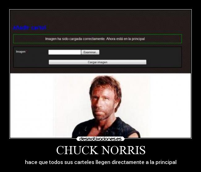 carteles chuck norris carteles principal desmotivaciones