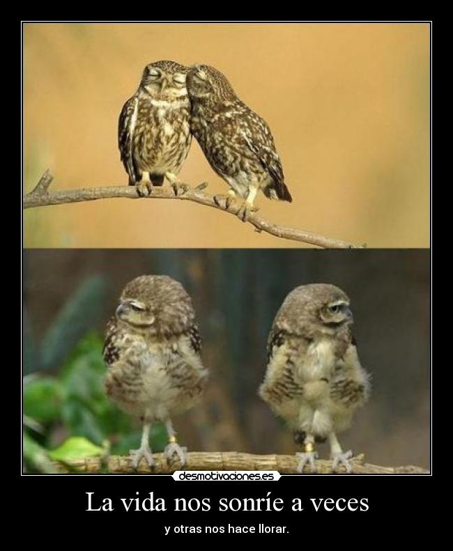 La vida nos sonríe a veces - y otras nos hace llorar.