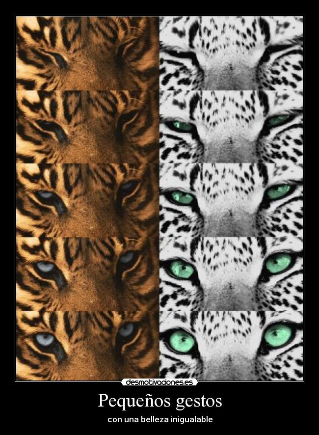 Pequeños gestos - con una belleza inigualable