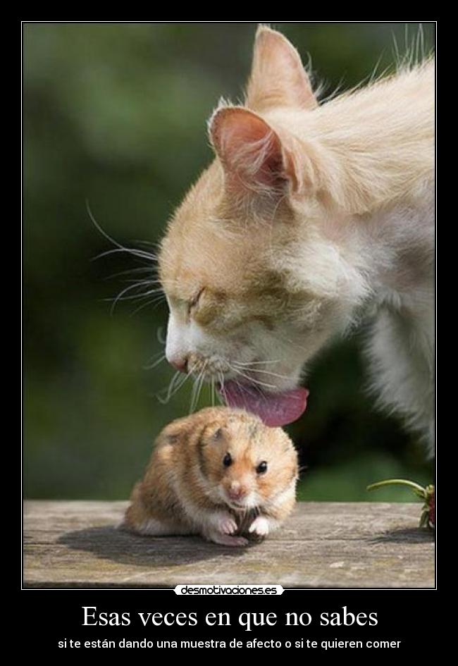 Esas veces en que no sabes -