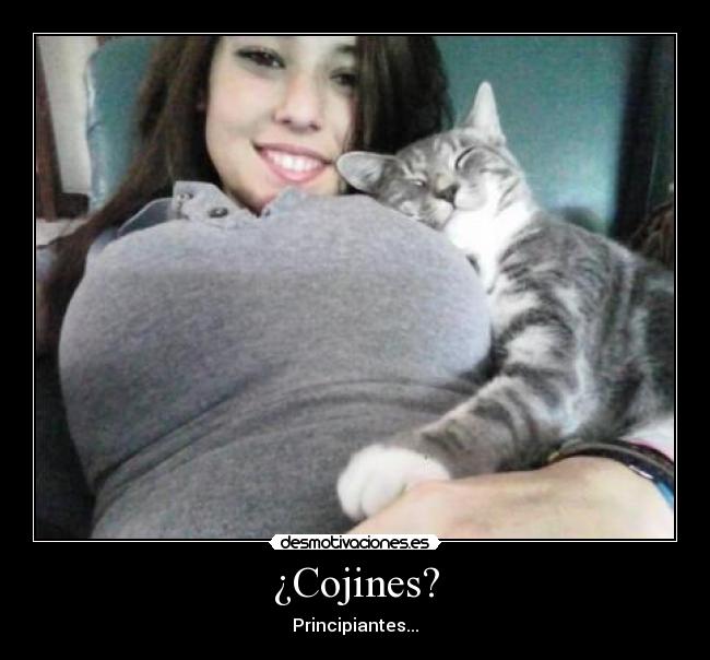 ¿Cojines? - 