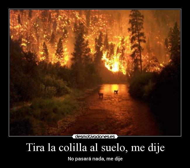 carteles albertop desmotivaciones