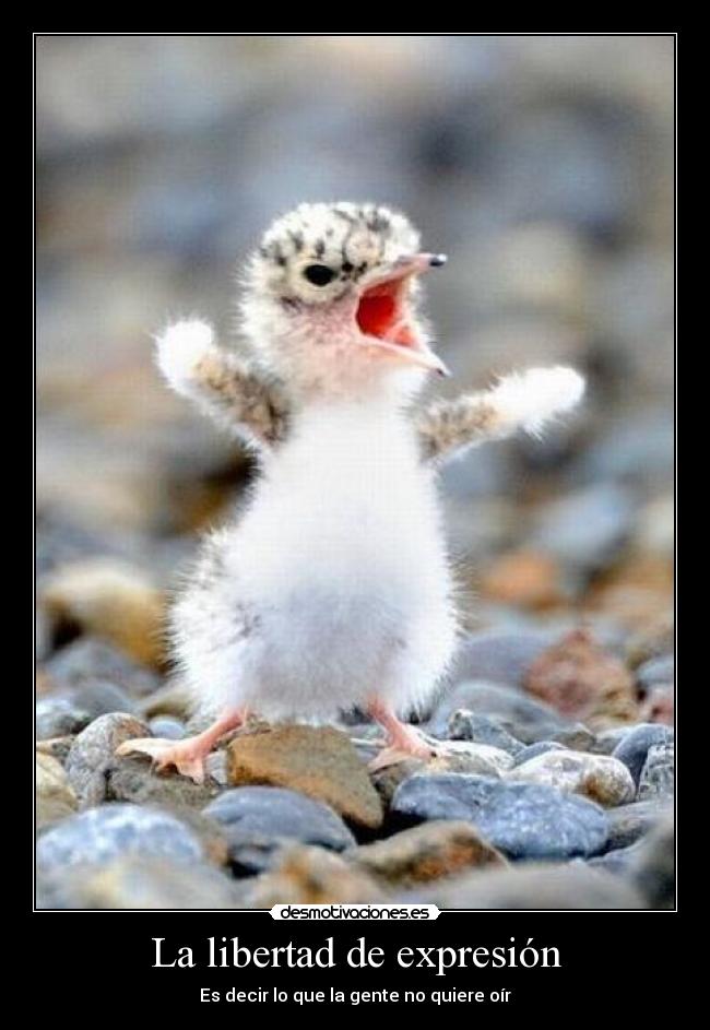 La libertad de expresión - 