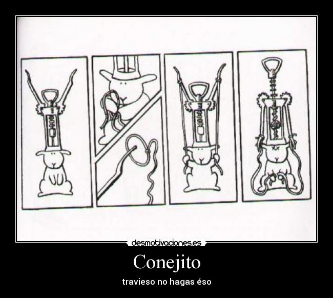 Conejito - travieso no hagas éso