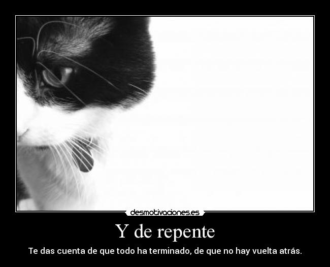 Y de repente - Te das cuenta de que todo ha terminado, de que no hay vuelta atrás.