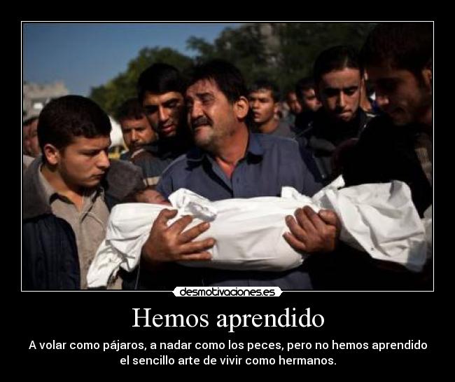 carteles hemos aprendido desmotivaciones