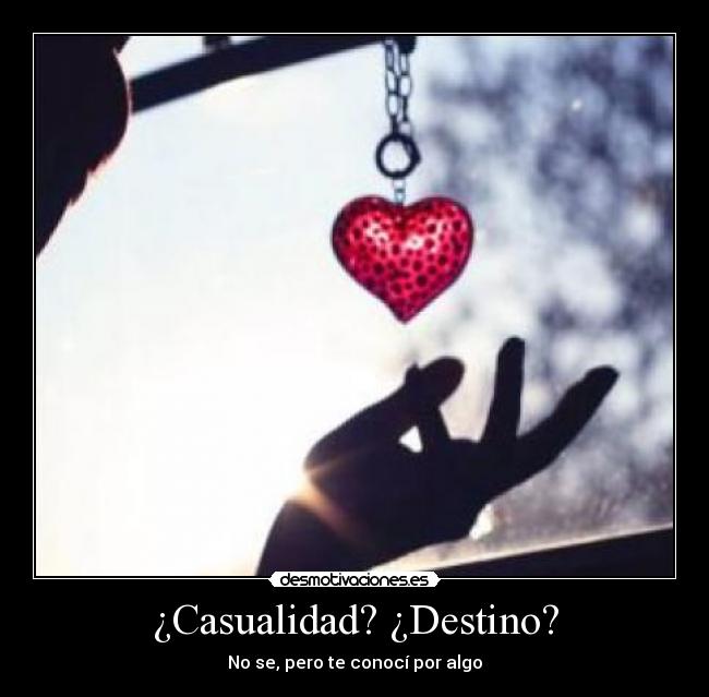 ¿Casualidad? ¿Destino? - 