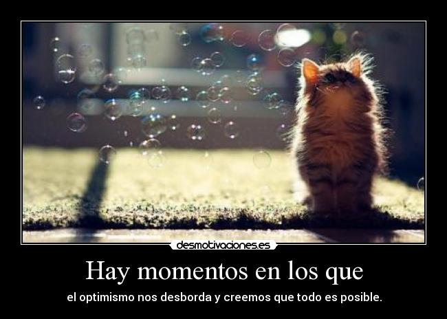 Hay momentos en los que - el optimismo nos desborda y creemos que todo es posible.