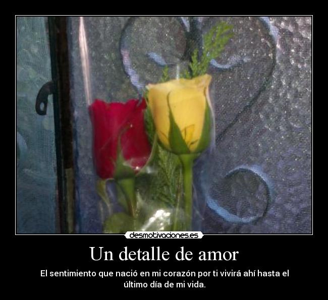 Un detalle de amor - El sentimiento que nació en mi corazón por ti vivirá ahí hasta el último día de mi vida.