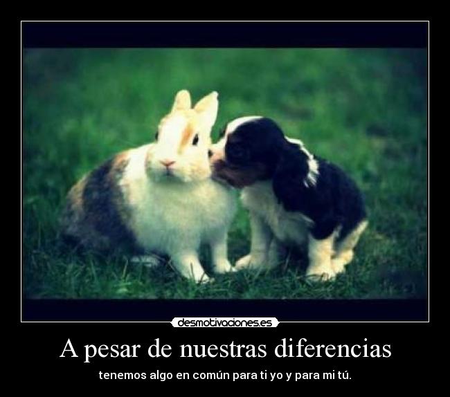 A pesar de nuestras diferencias - tenemos algo en común para ti yo y para mi tú.