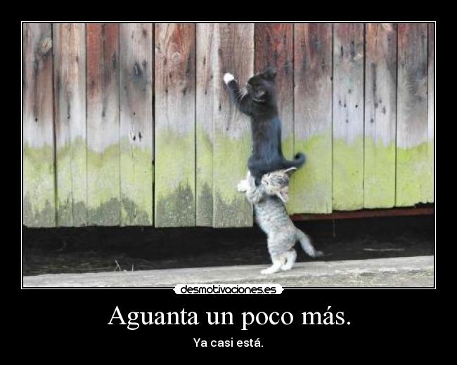 Aguanta un poco más. - Ya casi está.