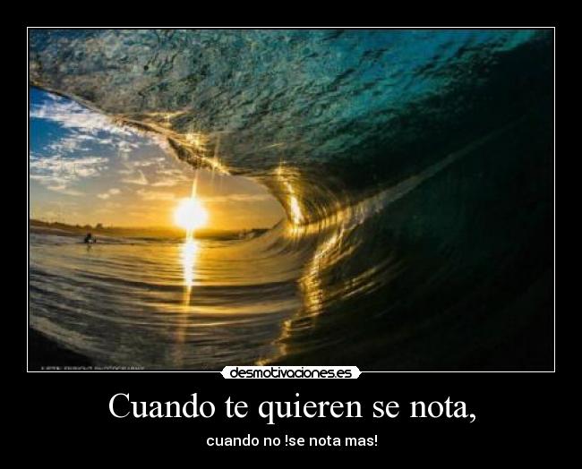 Cuando te quieren se nota, - 