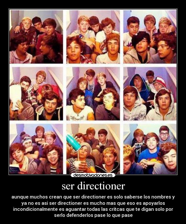 ser directioner -