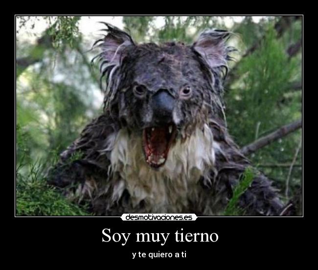 Soy muy tierno - y te quiero a ti