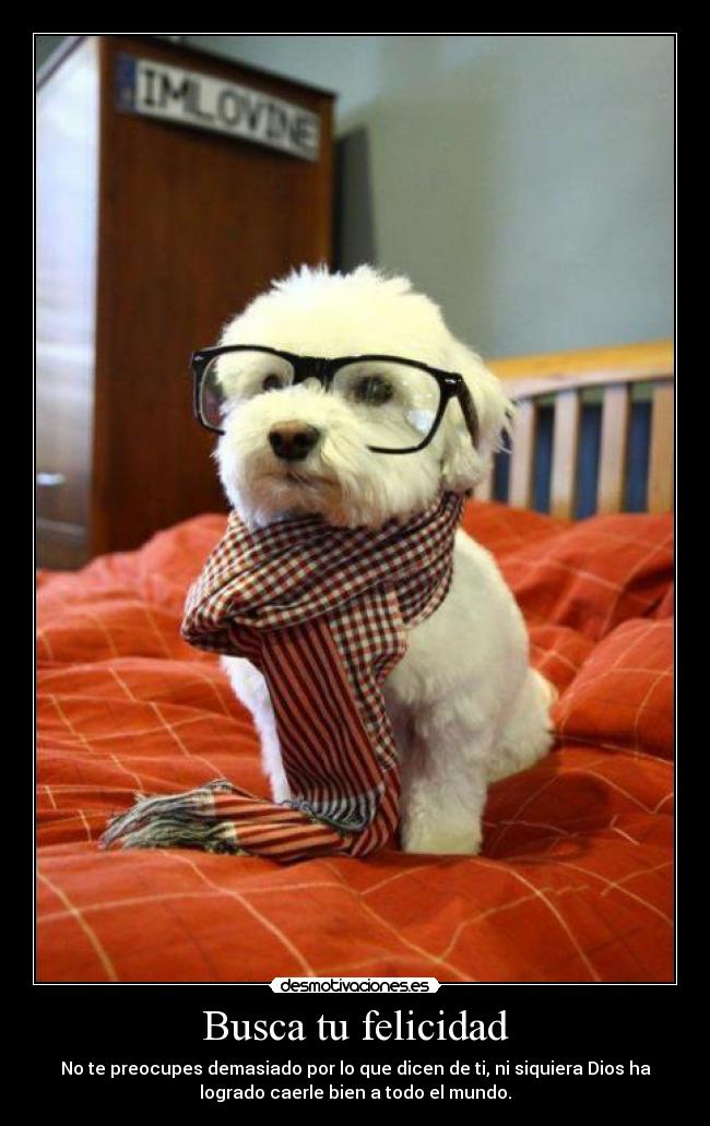 Busca tu felicidad - No te preocupes demasiado por lo que dicen de ti, ni siquiera Dios ha
logrado caerle bien a todo el mundo.