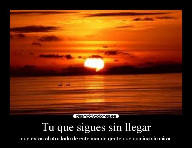 carteles frases desmotivaciones