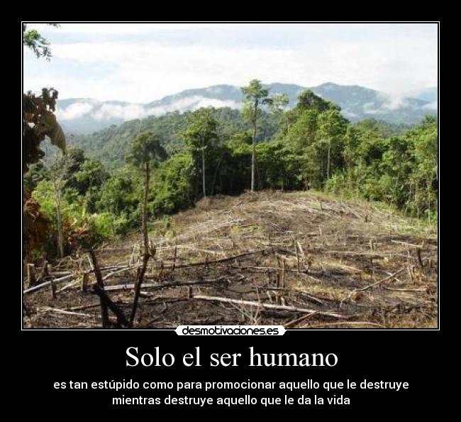 Solo el ser humano -