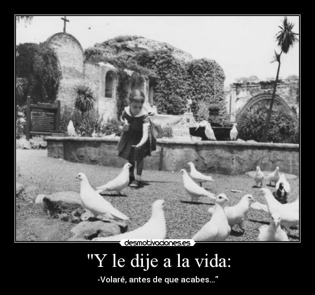 Y le dije a la vida: - 
