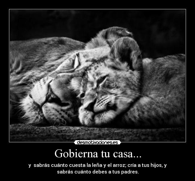 Gobierna tu casa... - 