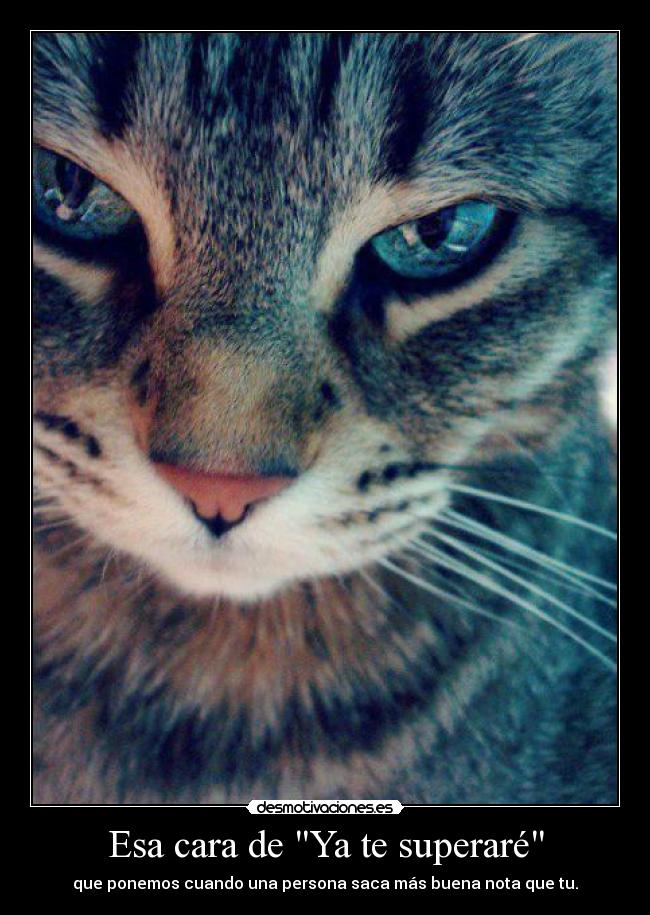 Esa cara de Ya te superaré - que ponemos cuando una persona saca más buena nota que tu.
