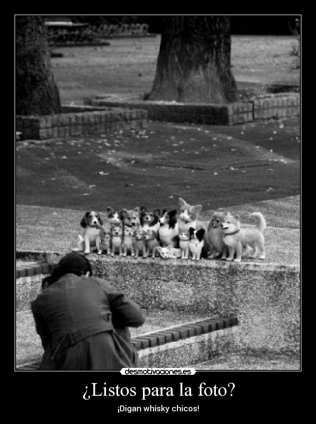 ¿Listos para la foto? - ¡Digan whisky chicos!