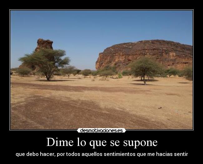 Dime lo que se supone - 