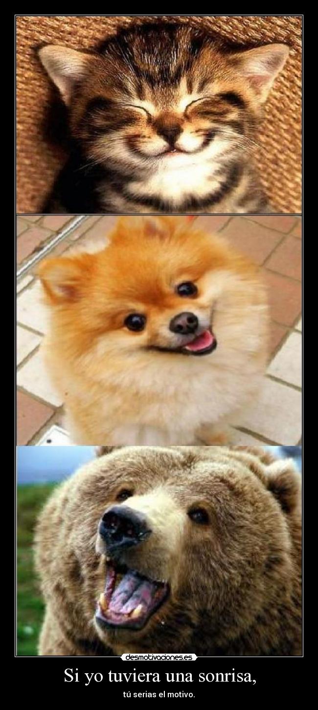 Si yo tuviera una sonrisa, - tú serias el motivo.