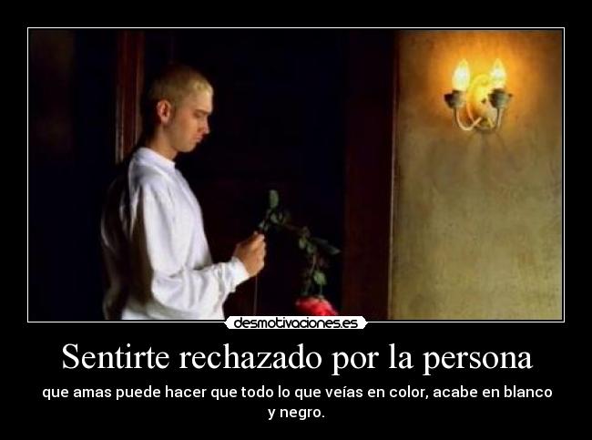 carteles eminem foshabilidad soy puto arco iris punto desmotivaciones