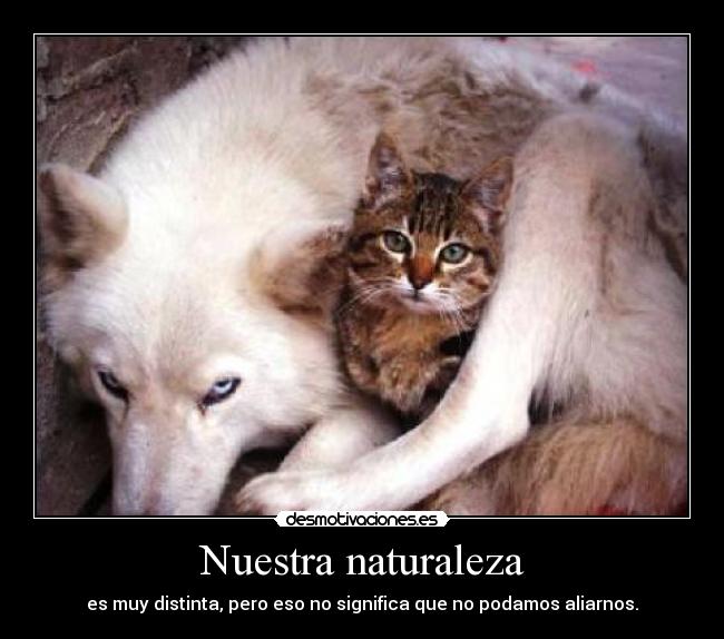 Nuestra naturaleza - 