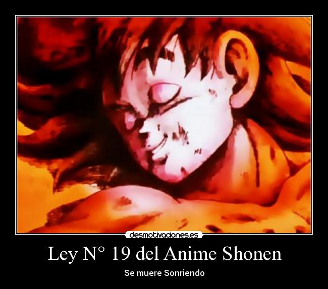 Ley N° 19 del Anime Shonen -
