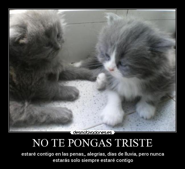 NO TE PONGAS TRISTE - estaré contigo en las penas,, alegrías, días de lluvia, pero nunca
estarás solo siempre estaré contigo