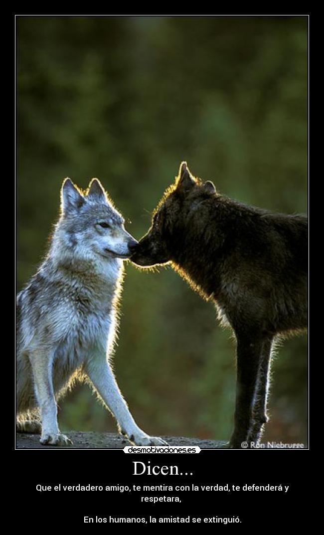 Dicen... - Que el verdadero amigo, te mentira con la verdad, te defenderá y respetara,
En los humanos, la amistad se extinguió.