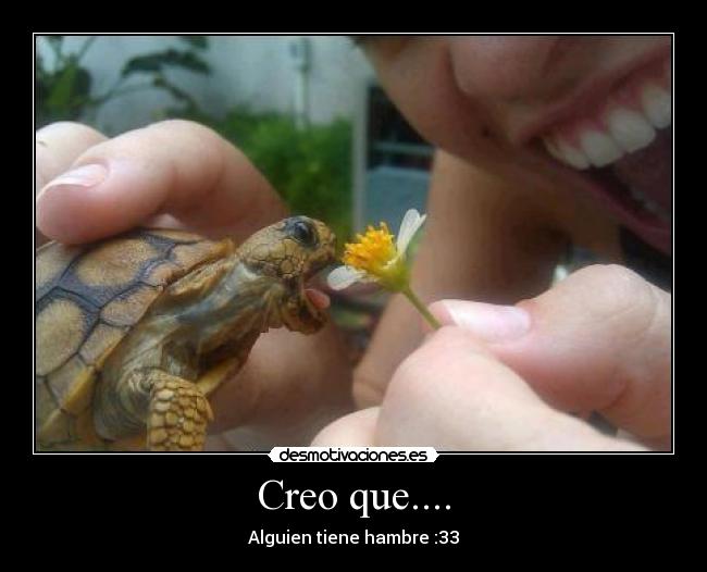 Creo que.... -