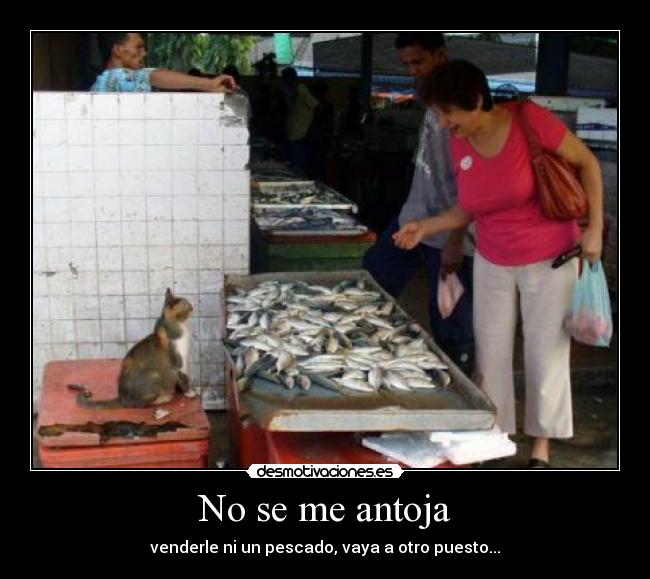 No se me antoja - venderle ni un pescado, vaya a otro puesto...