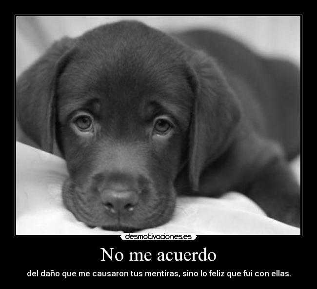 No me acuerdo - del daño que me causaron tus mentiras, sino lo feliz que fui con ellas.