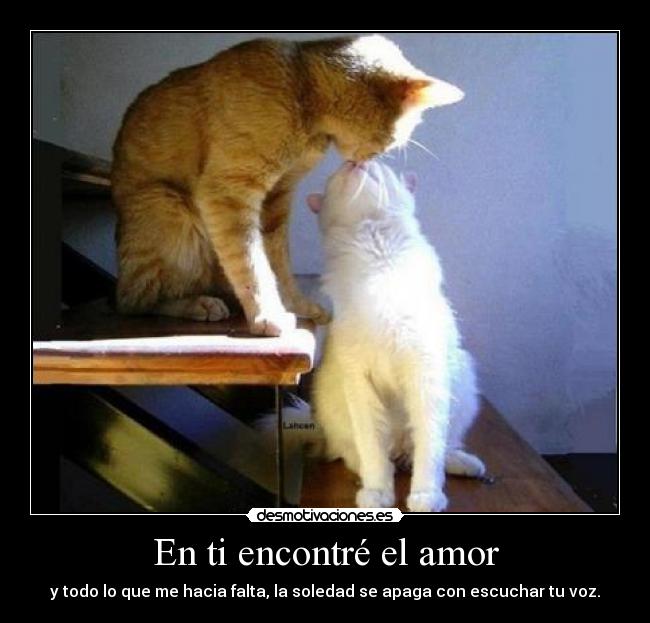 En ti encontré el amor - y todo lo que me hacia falta, la soledad se apaga con escuchar tu voz.