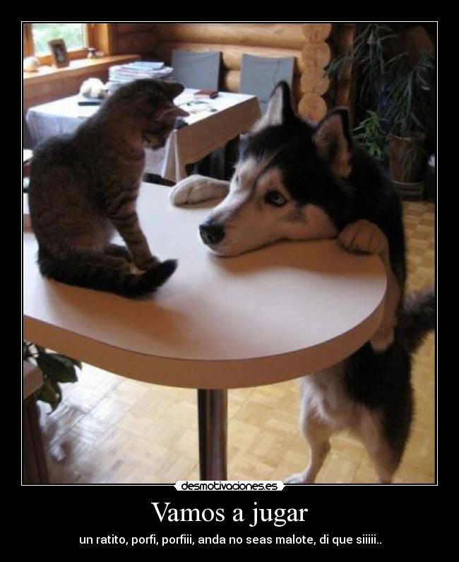 Vamos a jugar - un ratito, porfi, porfiii, anda no seas malote, di que siiiii..