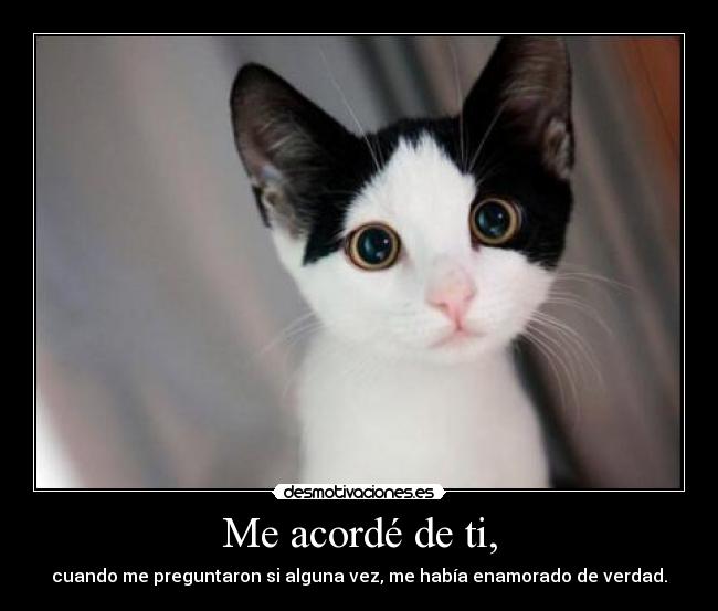 Me acordé de ti, - cuando me preguntaron si alguna vez, me había enamorado de verdad.