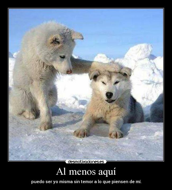 Al menos aquí - puedo ser yo misma sin temor a lo que piensen de mí.