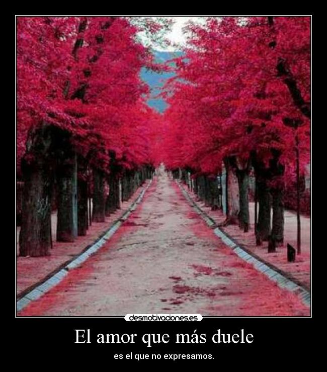 El amor que más duele - es el que no expresamos.