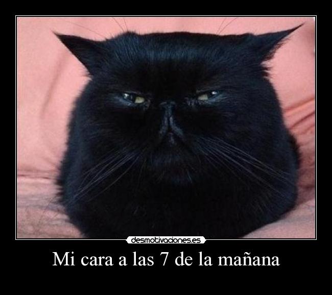 Mi cara a las 7 de la mañana -