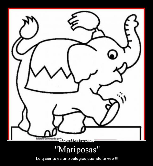 Mariposas - Lo q siento es un zoologico cuando te veo !!!