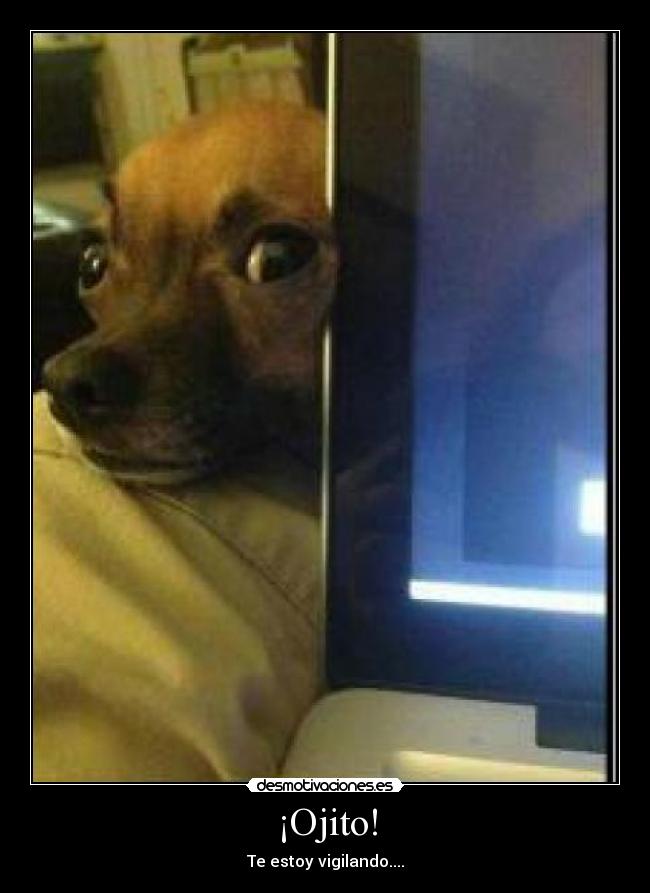 ¡Ojito! - Te estoy vigilando....