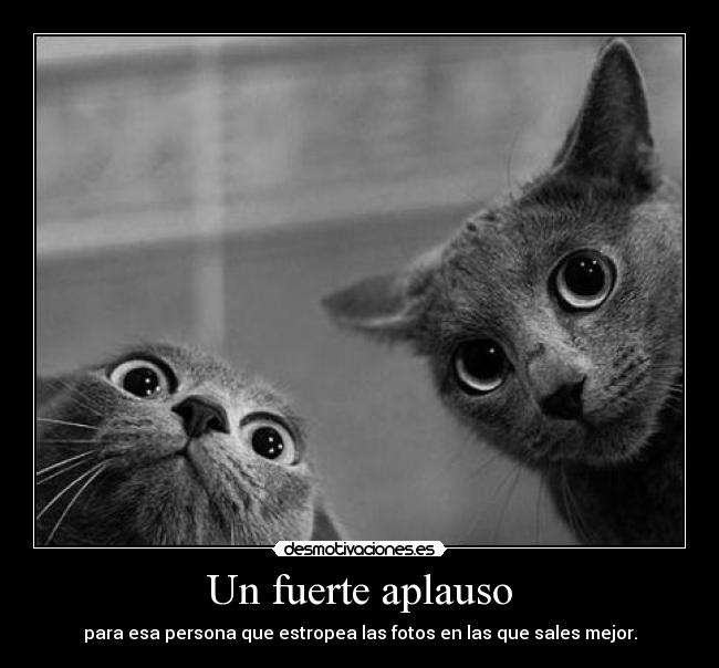 Un fuerte aplauso - para esa persona que estropea las fotos en las que sales mejor.