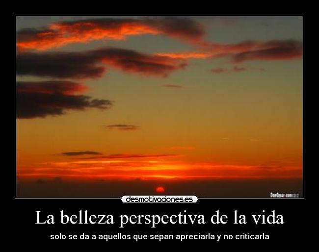 La belleza perspectiva de la vida - solo se da a aquellos que sepan apreciarla y no criticarla