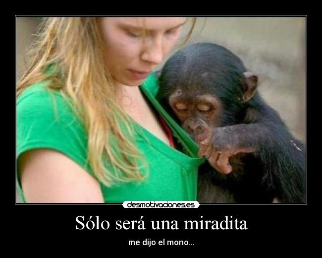 carteles mono fapero que sonaba con las tetas tia esta que vendia lechugas desmotivaciones